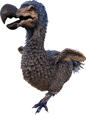 ARK Dodo